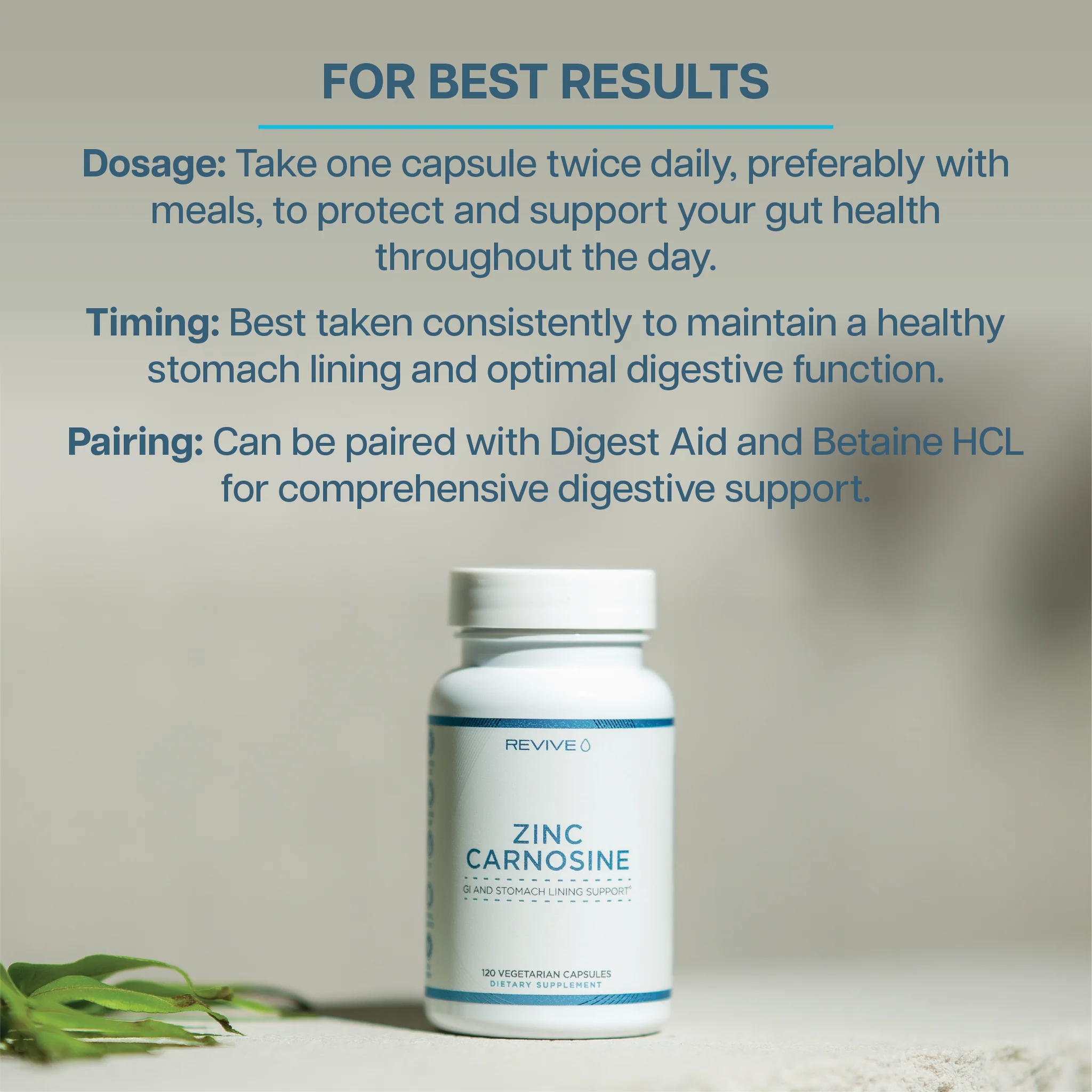 Zinc Carnosine - Support Your Gastrointestinal Health - Relive Health  Hendersonville | The Best Medical Spa in Hendersonville, TN